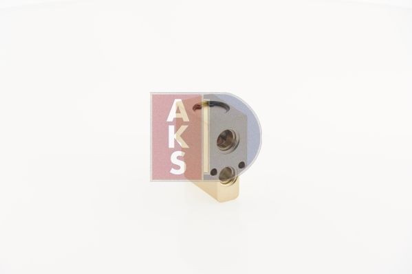 AC expansion valve 840210N from AKS DASIS