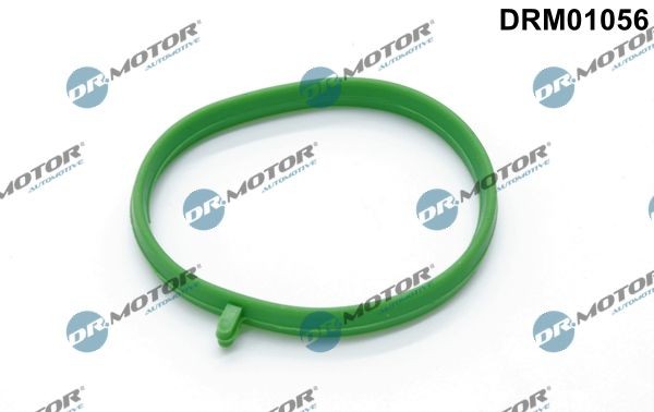 DR.MOTOR AUTOMOTIVE Seal, oil outlet (charger) DRM01056 buy