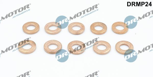 Great value for money - DR.MOTOR AUTOMOTIVE Seal Kit, injector nozzle DRMP24