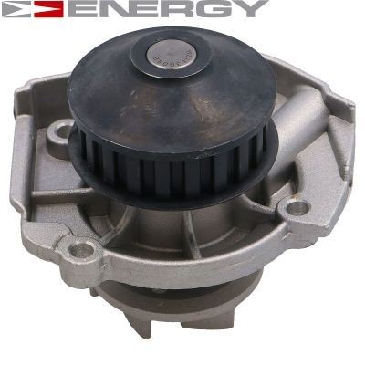 ENERGY with belt pulley, without gaskets/seals, with lid Water pumps GPW1236 buy
