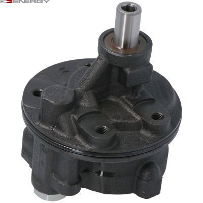 Chrysler Power steering pump ENERGY PW303338 at a good price