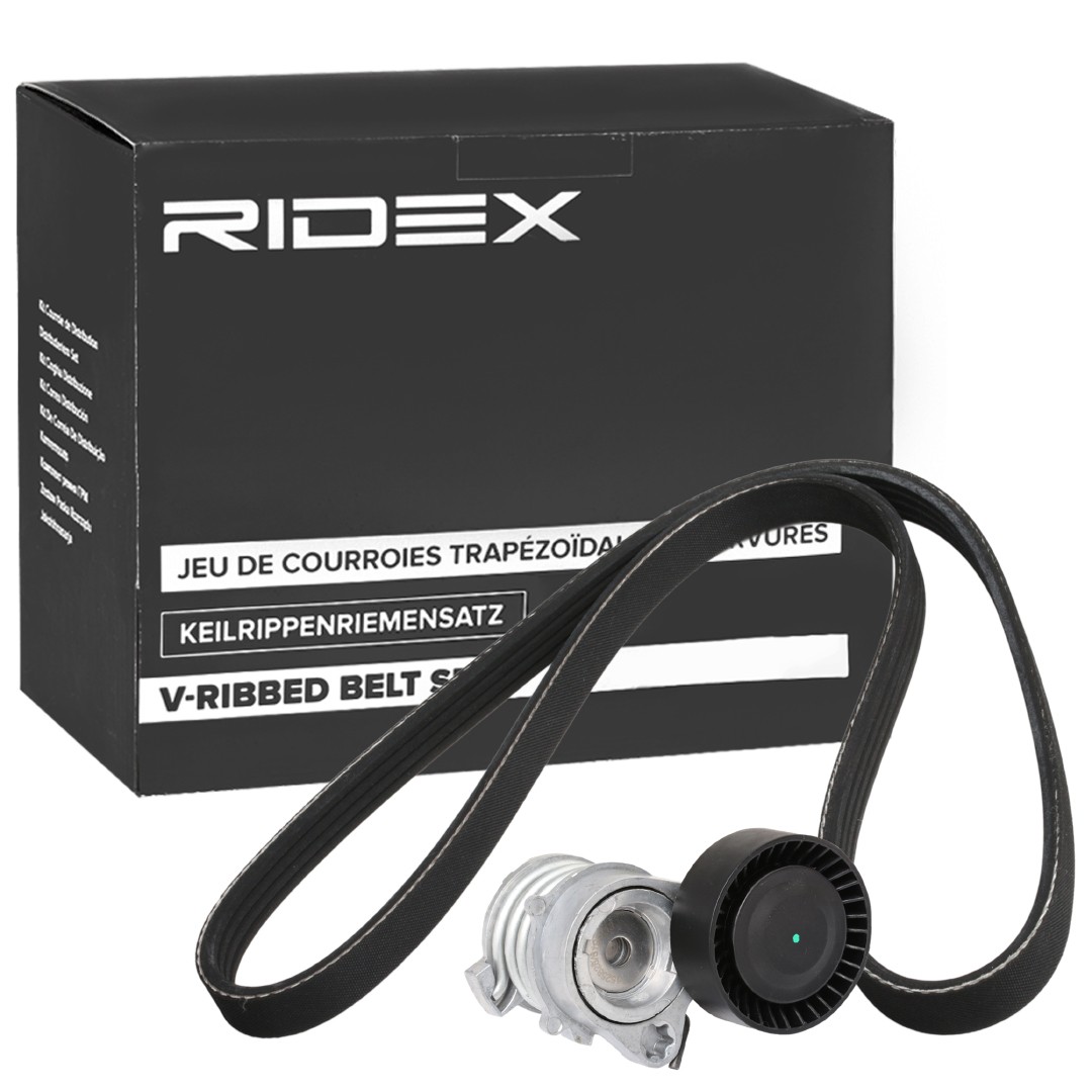 RIDEX 542R0789 Drive belt BMW 3 Compact (E46) 325 ti 192 hp Petrol 2001