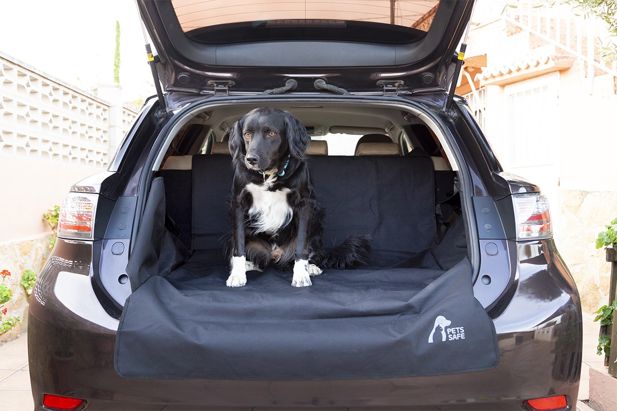 100019A0004 RIDEX Kofferraumschutz für Hunde ▷ AUTODOC Preis und