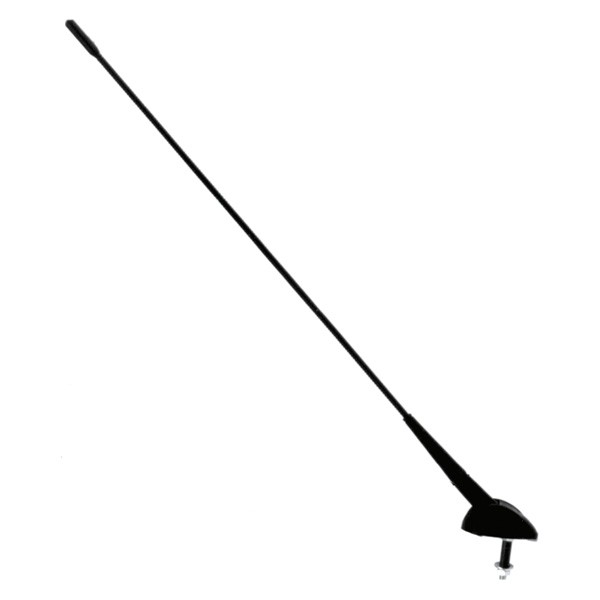 2010041 CARPOINT Antenne für FORD online bestellen