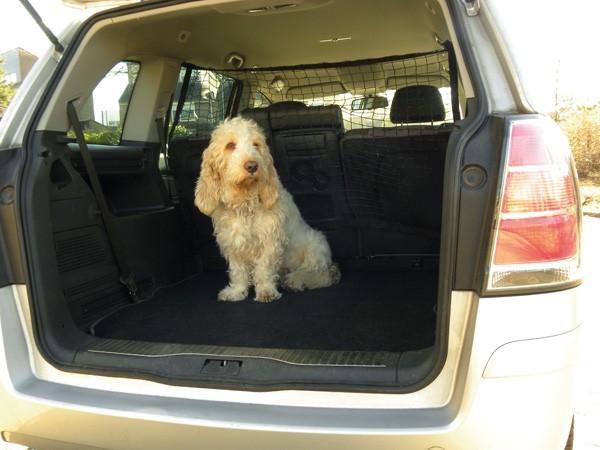 Heldenwerk Rejilla perro coche maletero universal - Separador de coche para  perros al transporte de perros - Reja coche perro, Barrera coche perros :  : Productos para mascotas