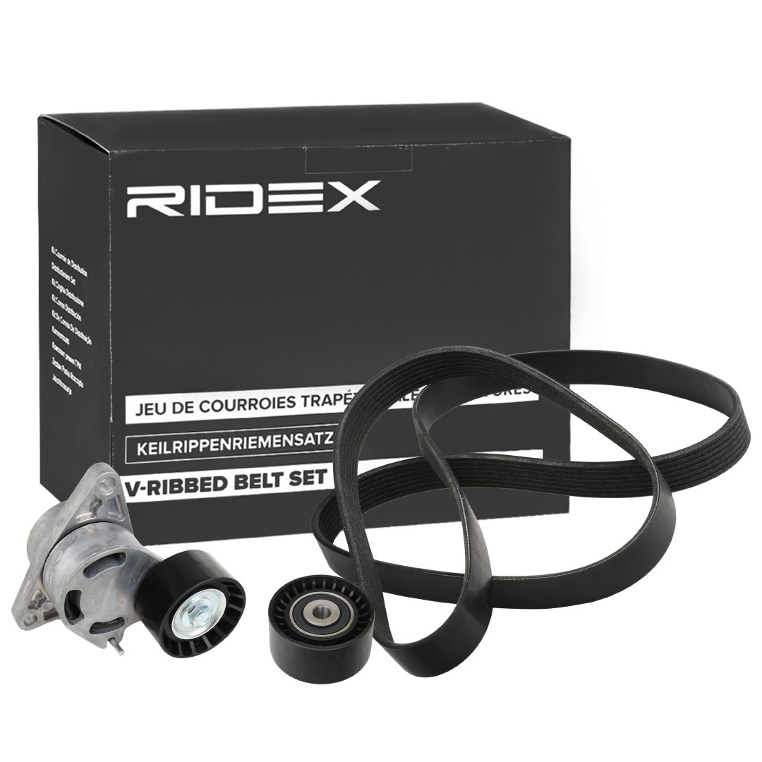 RIDEX 542R0799 Deflection / Guide Pulley, v-ribbed belt 8200725951