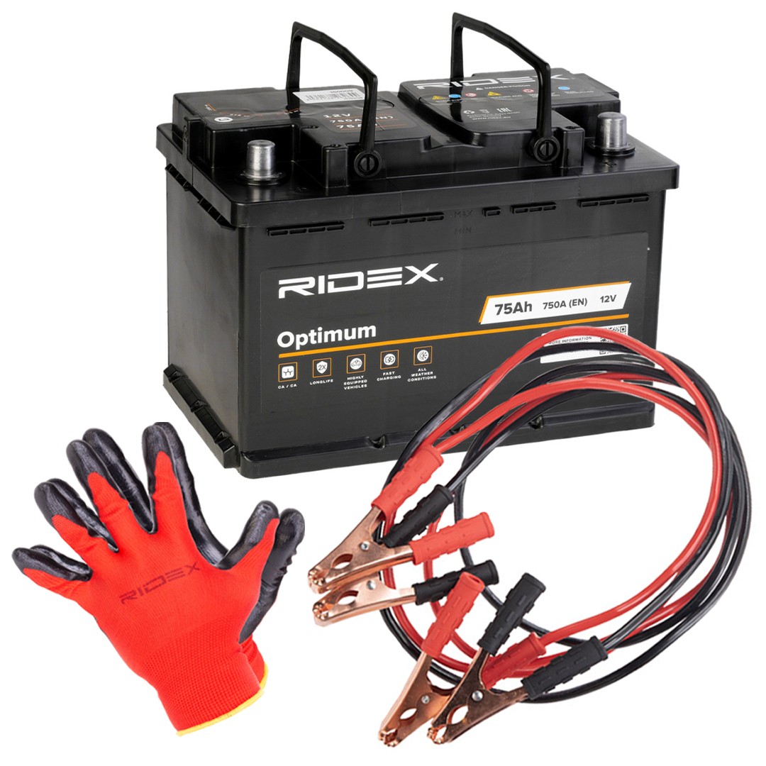 RIDEX 1S0277 Battery 6121 8381 734
