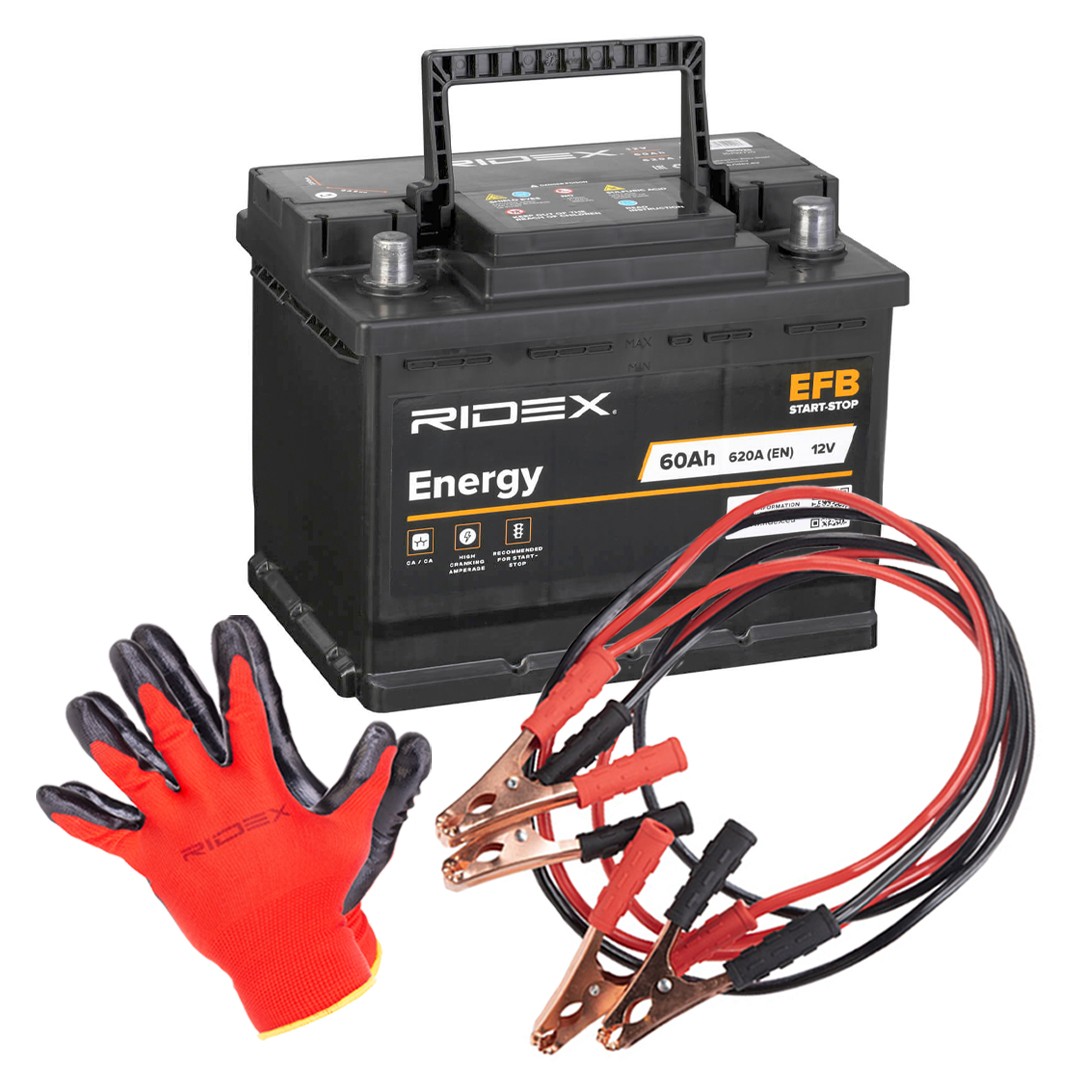 RIDEX 1S0281 Battery 244106439R