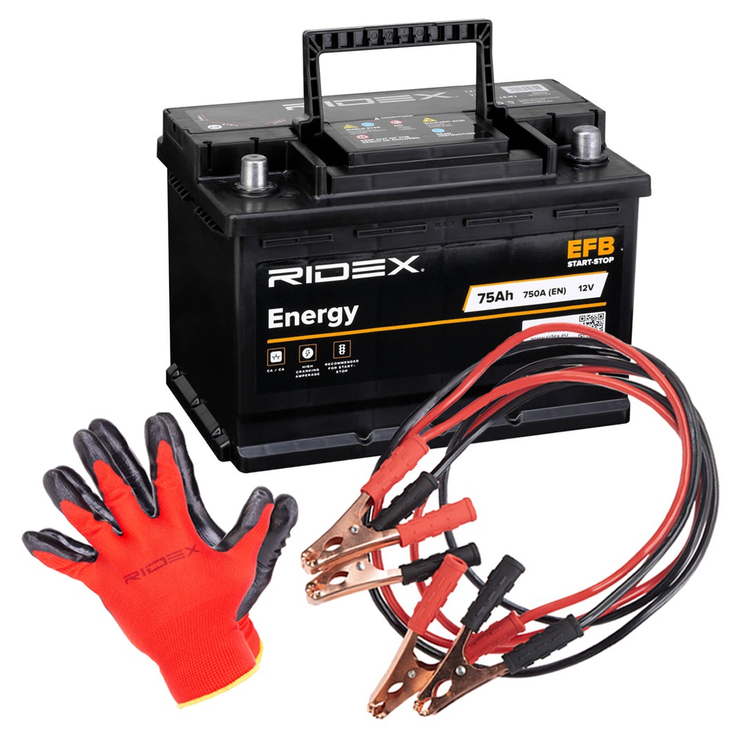 RIDEX 1S0282 Battery 31500-TV2-E02