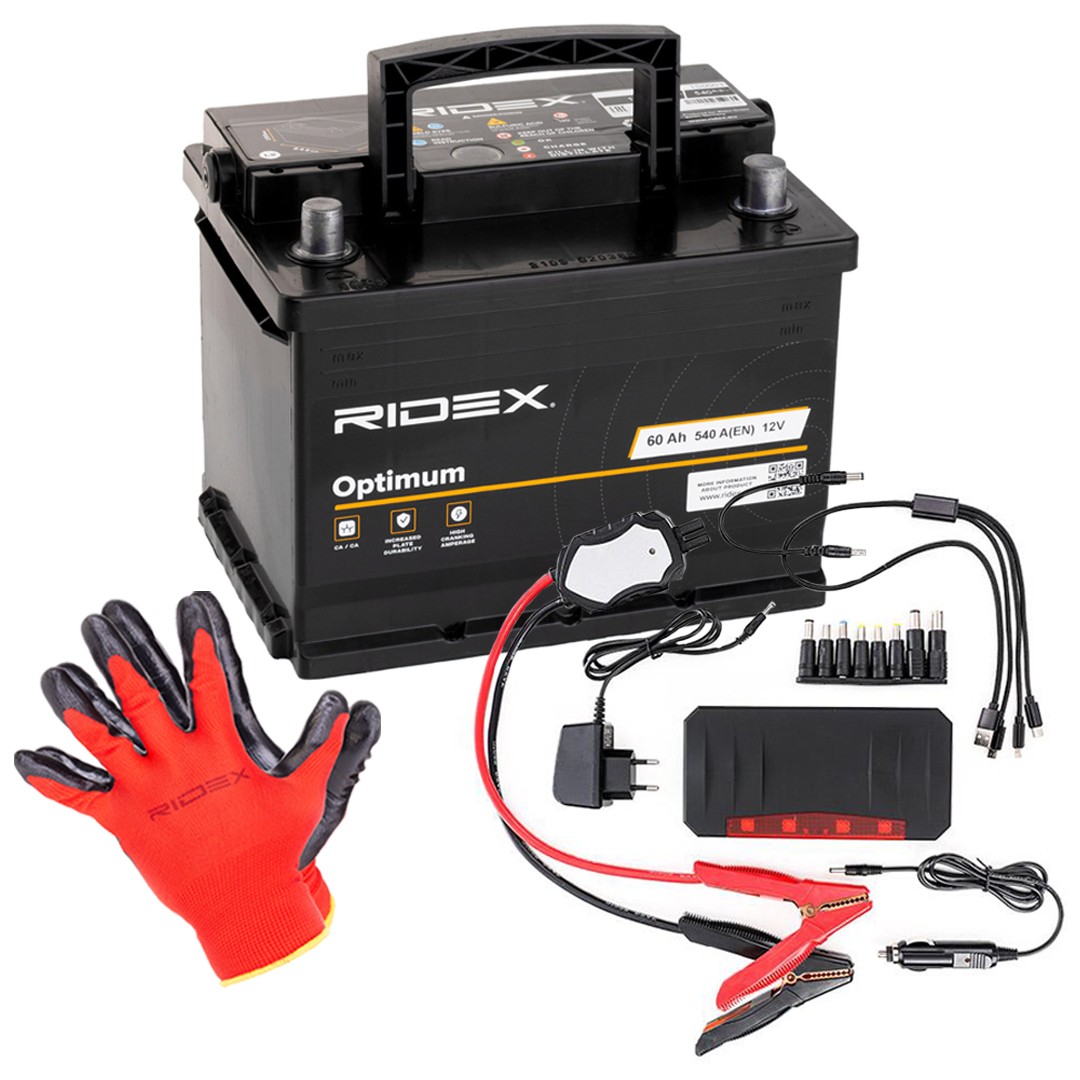 RIDEX 1S0283 Batterie 12V 60Ah 540A B13 Batterie au plomb