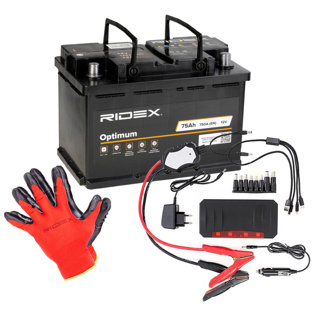 RIDEX 1S0286 Battery 005 541 24 01