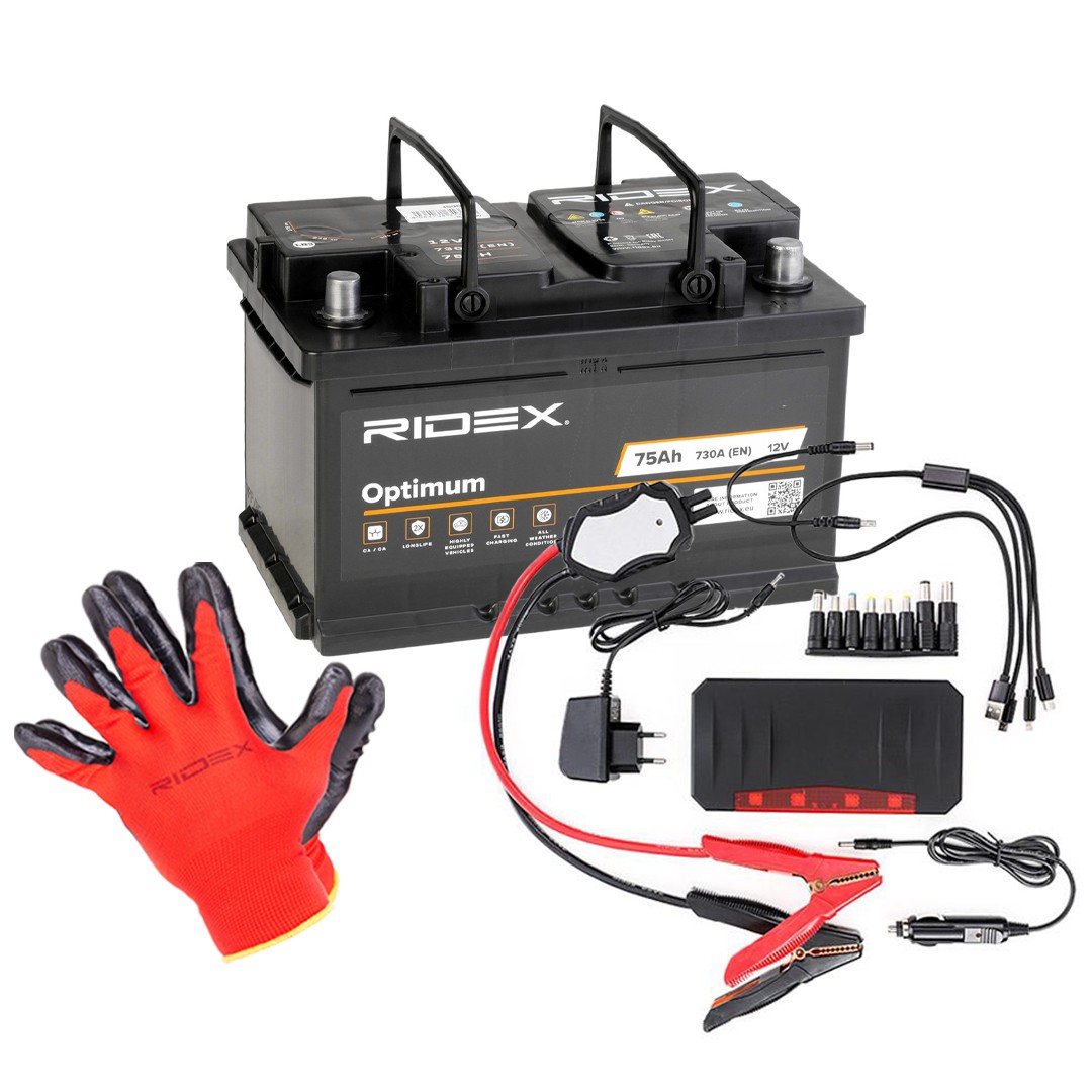 RIDEX 1S0290 Battery 1 067 908