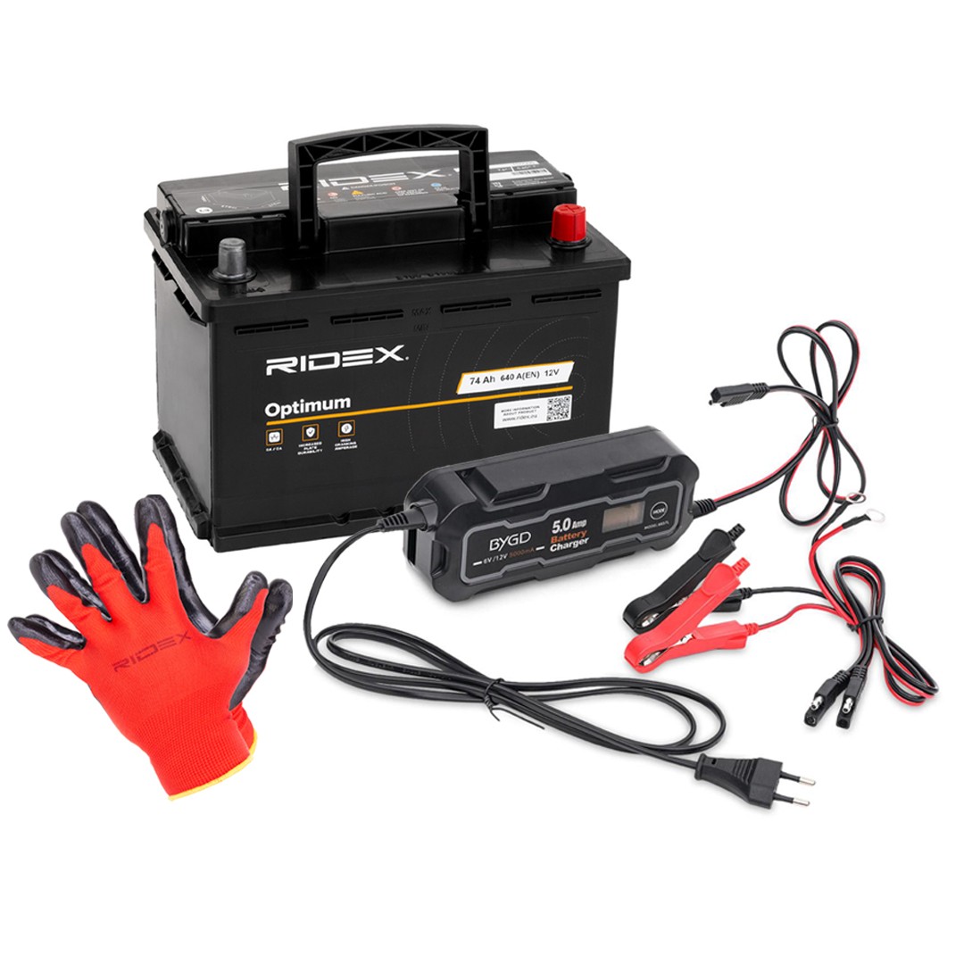 1S0294 RIDEX Batterie für BMC online bestellen