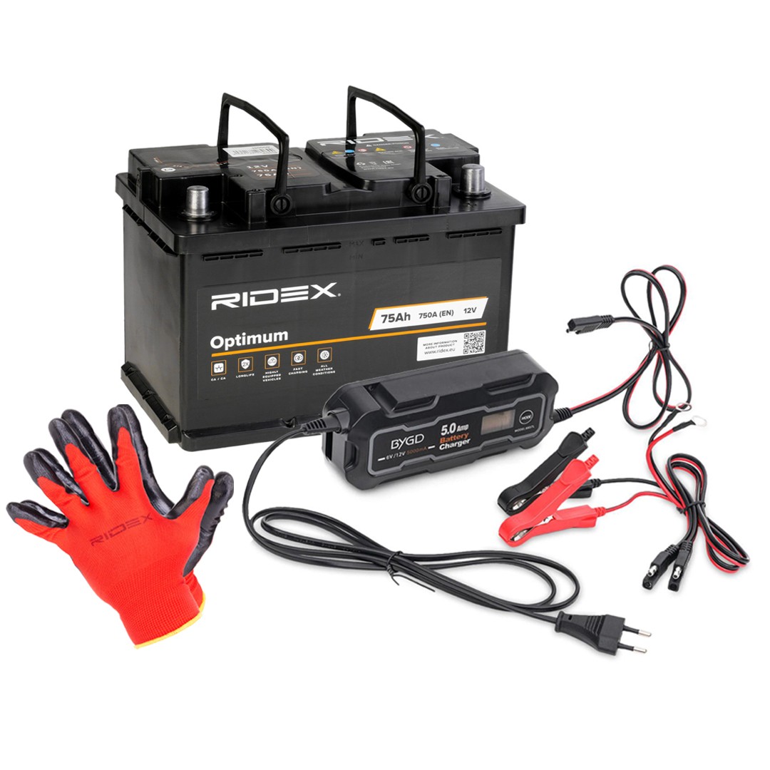 1S0296 RIDEX Batterie für NISSAN online bestellen