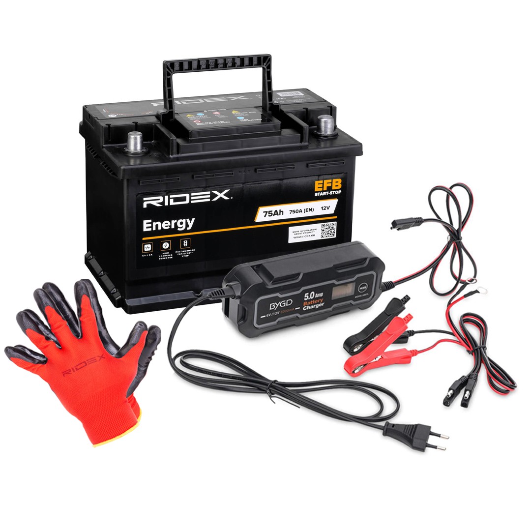 RIDEX 1S0301 Battery 31500-TV2-E02