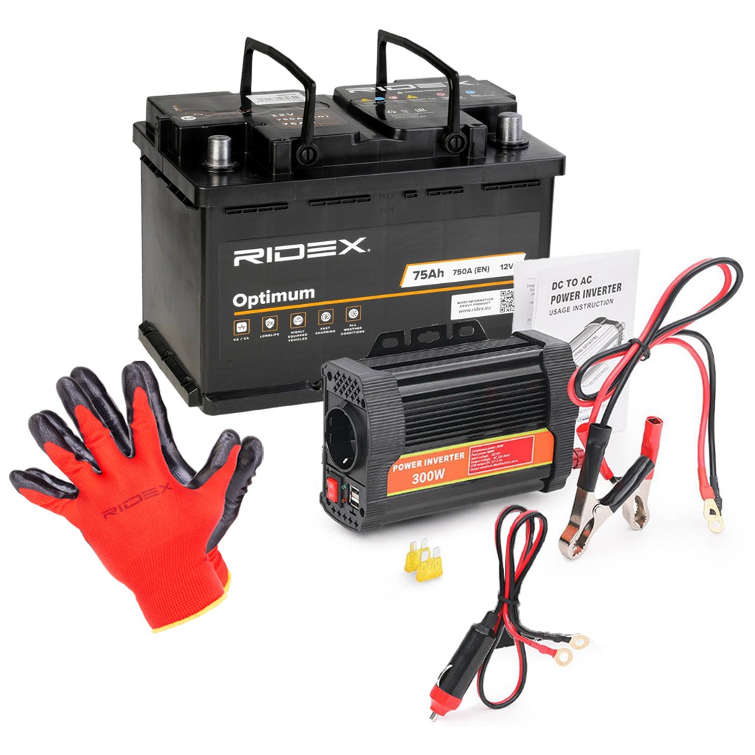 1S0305 RIDEX Batterie für GINAF online bestellen