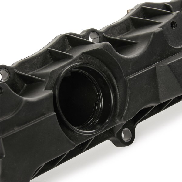 977C0058 Cylinder Head Cover 977C0058 RIDEX with oil supply line
