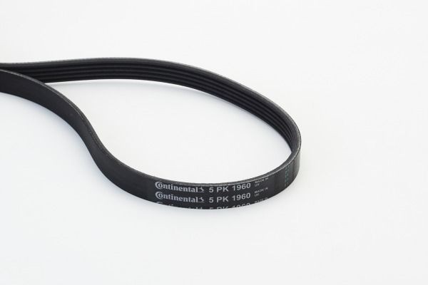 CONTITECH 1960mm, 5 Number of ribs: 5, Length: 1960mm Alternator belt 5PK1960 buy