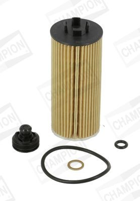 CHAMPION COF100769E Oil filter with gaskets/seals, Filter Insert