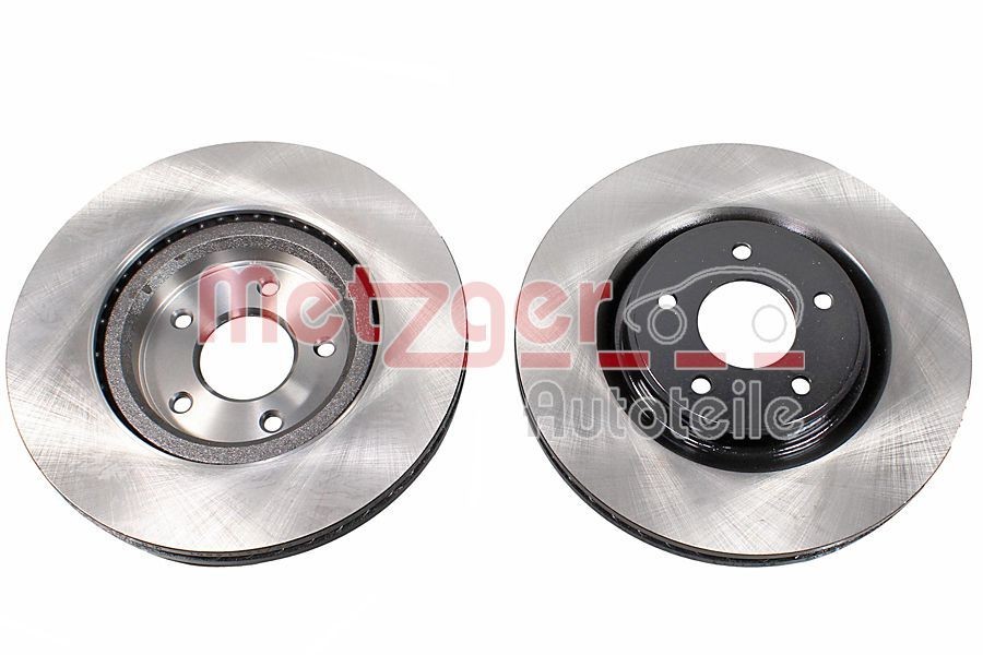 Renault SUPER 5 Brake discs and rotors 17400909 METZGER 6110989 online buy