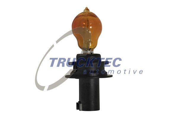 TRUCKTEC AUTOMOTIVE Bulb, indicator- / outline lamp 02.58.447 Mercedes-Benz B-Class 2008