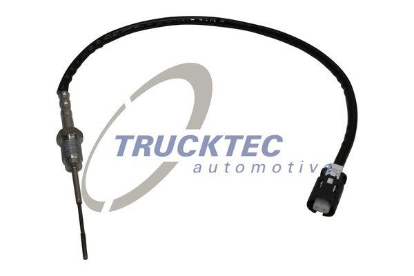 TRUCKTEC AUTOMOTIVE 0817053 Sensor, exhaust gas temperature BMW F31 316 d 116 hp Diesel 2015 price