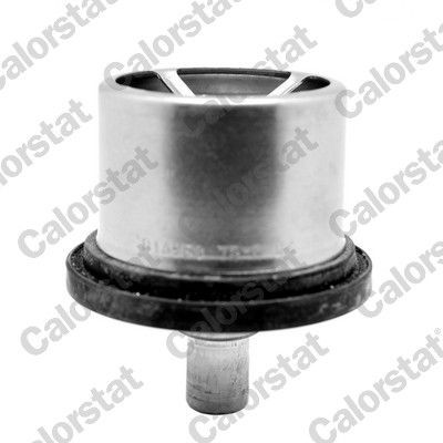 CALORSTAT by Vernet THS16958.76 Engine thermostat Opening Temperature: 76°C, 73,0mm