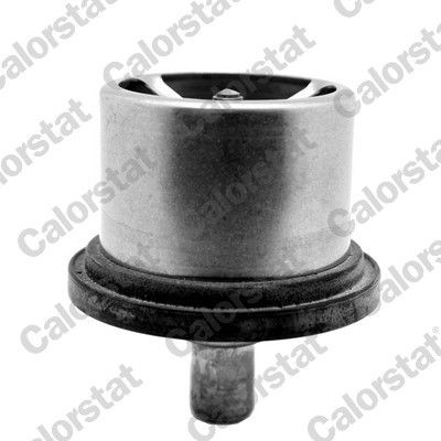 CALORSTAT by Vernet Opening Temperature: 75°C, 73,0mm D1: 73,0mm Thermostat, coolant THS19094.75 buy