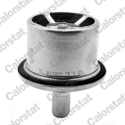 CALORSTAT by Vernet Opening Temperature: 75°C, 73,0mm D1: 73,0mm Thermostat, coolant THS19099.75 buy