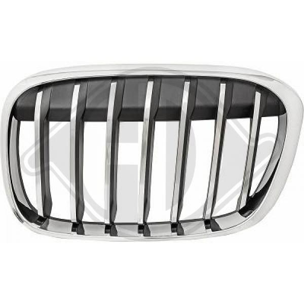 BMW X1 Front grille 17421510 DIEDERICHS 1266041 online buy