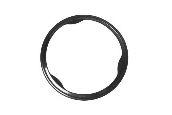 AUTOMEGA 273840810 Exhaust pipe gasket OPEL Astra K Sports Tourer (B16) 1.4 CNG 110 hp Petrol/Compressed Natural Gas (CNG) 2021 price