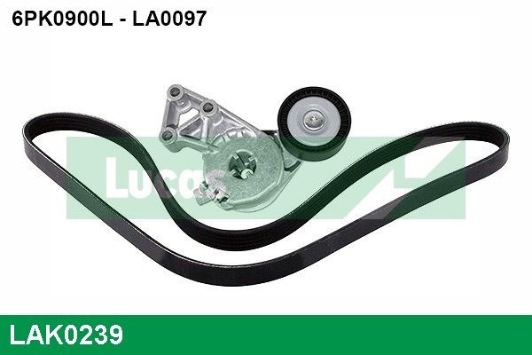 Volkswagen TOURAN Ribbed belt 17483072 LUCAS LAK0239 online buy