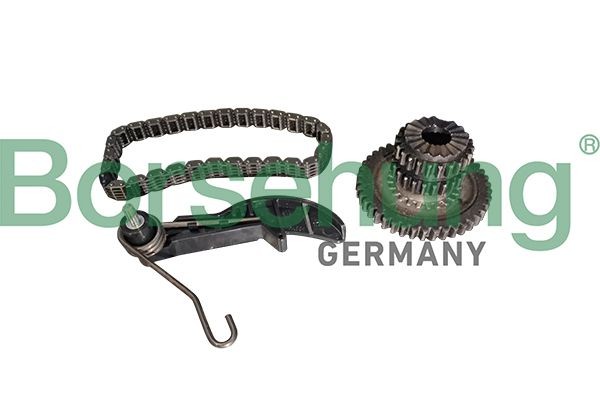Borsehung B10218 Drive chain Audi A4 B9 Saloon 2.0 TFSI quattro 252 hp Petrol 2024 price