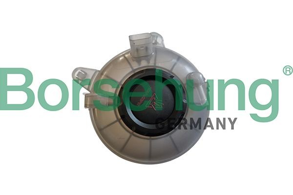 Borsehung Coolant expansion tank B11941 Volkswagen TOURAN 2017