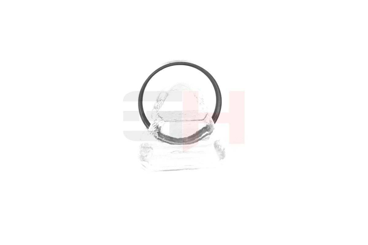 GH Reluctor ring GH-493763