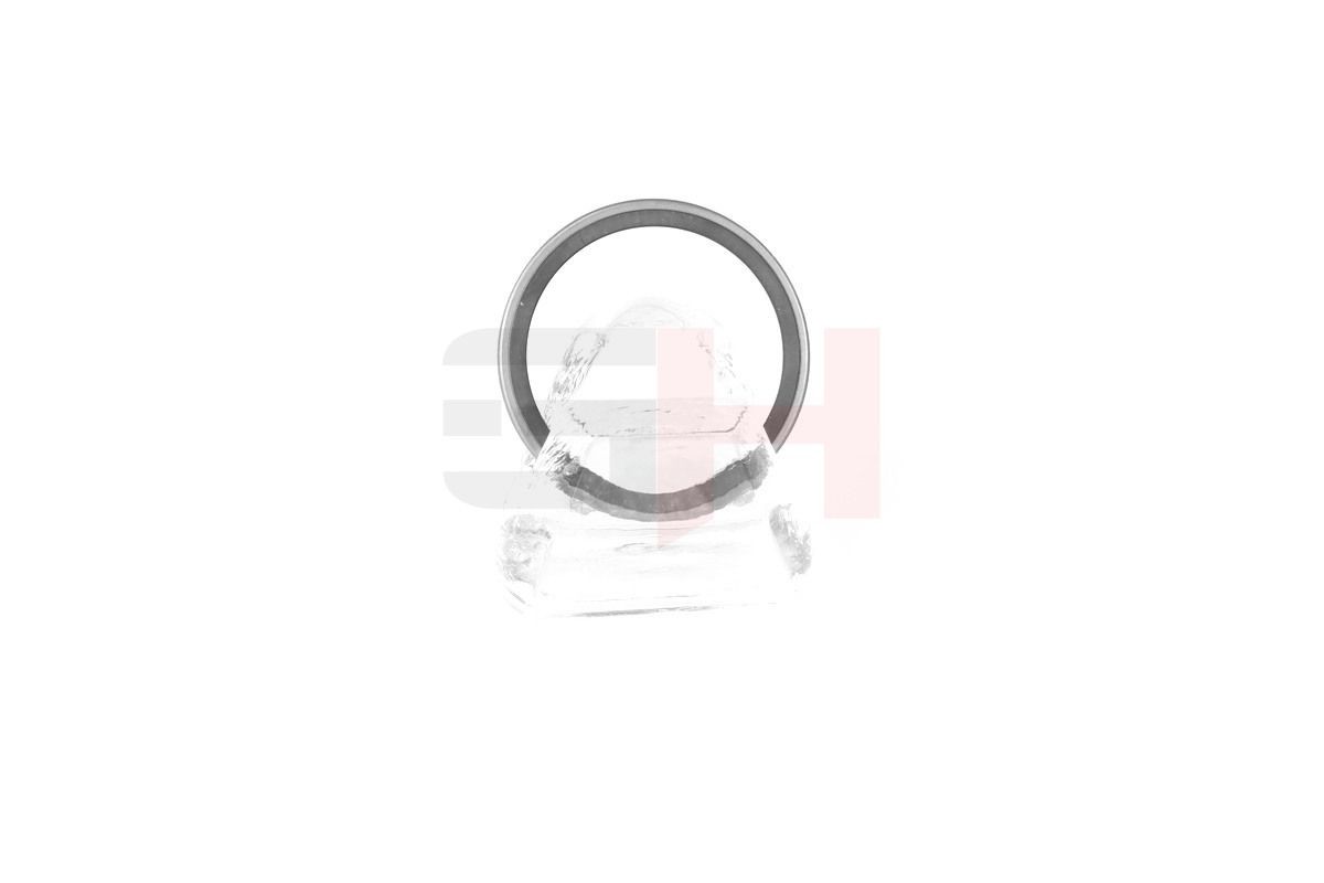 GH Reluctor ring GH-493910