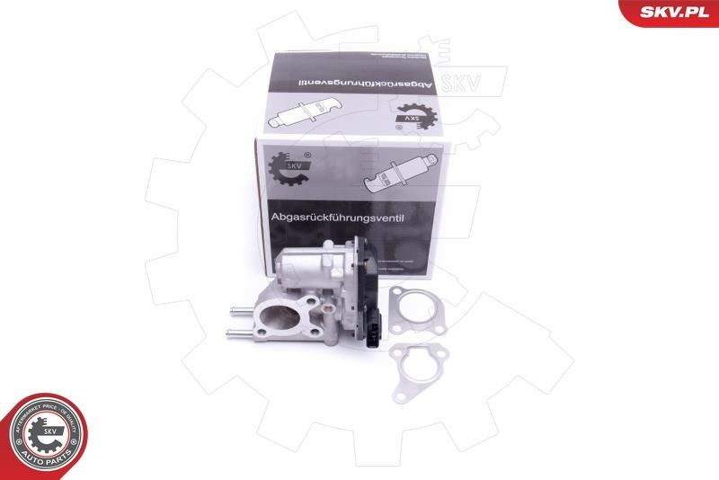 ESEN SKV Exhaust gas recirculation valve 14SKV215 buy