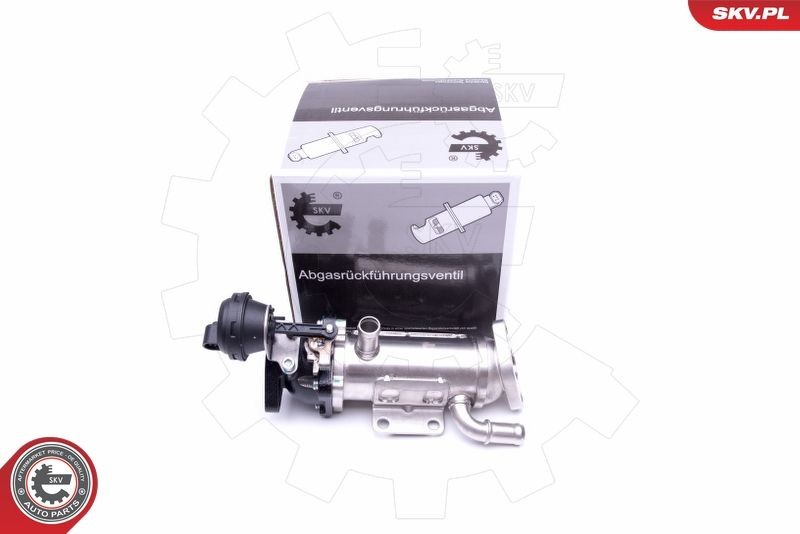 14SKV227 ESEN SKV Exhaust gas recirculation cooler buy cheap