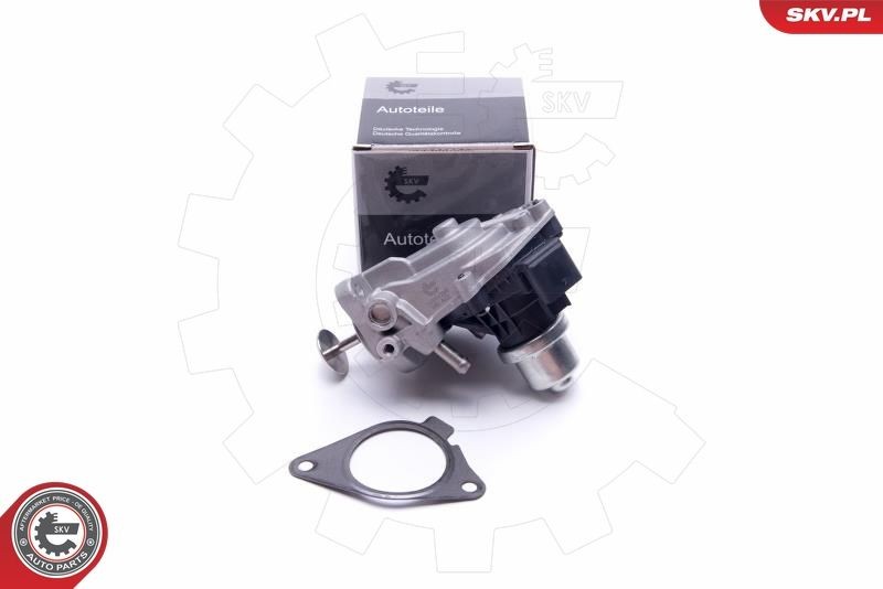 ESEN SKV 14SKV233 BMW 5 Series 2019 Exhaust gas recirculation valve