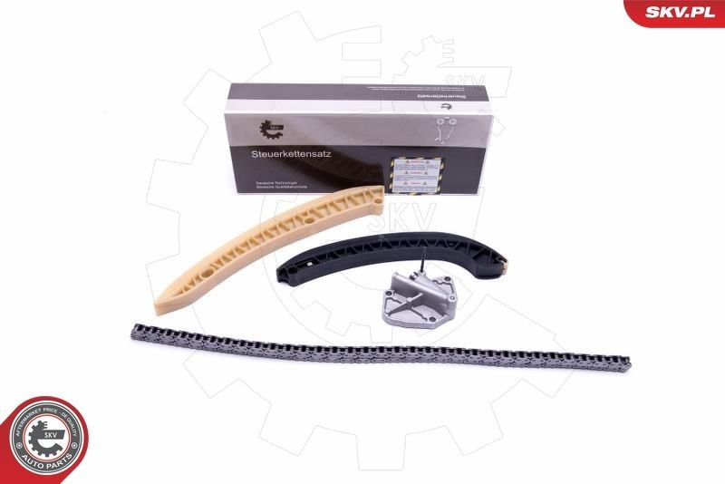 Great value for money - ESEN SKV Timing chain kit 21SKV180