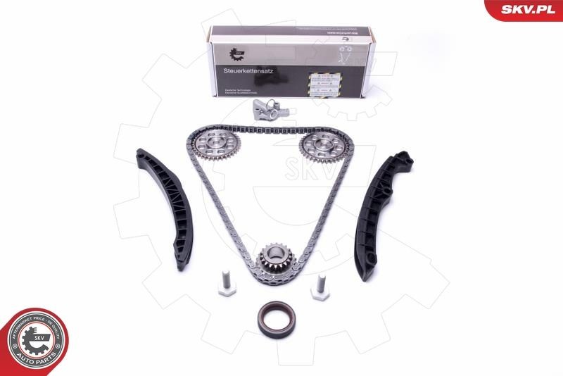 Volkswagen TOURAN Timing chain kit 17575978 ESEN SKV 21SKV233 online buy
