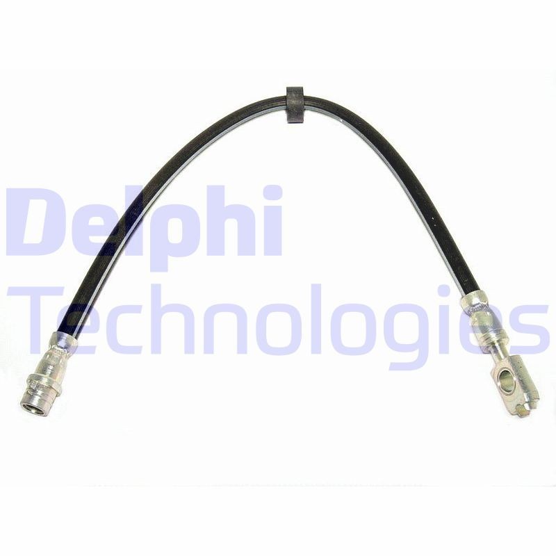Great value for money - DELPHI Brake hose LH0374