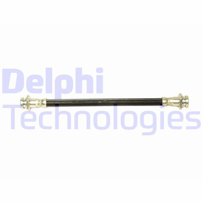 DELPHI LH6020 Brake hose 221 mm, M10x1 Int DF