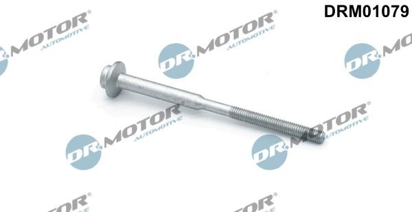 Audi A6 Screw, injection nozzle holder DR.MOTOR AUTOMOTIVE DRM01079 cheap