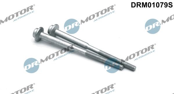 Skoda Screw, injection nozzle holder DR.MOTOR AUTOMOTIVE DRM01079S at a good price