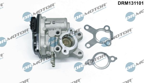 DR.MOTOR AUTOMOTIVE DRM131101 EGR valve Nissan Navara NP300 2.5 dCi 163 hp Diesel 2006 price