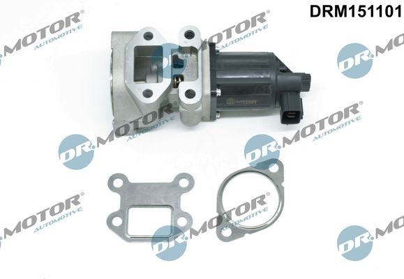 DR.MOTOR AUTOMOTIVE DRM151101 EGR valve Electric, with seal