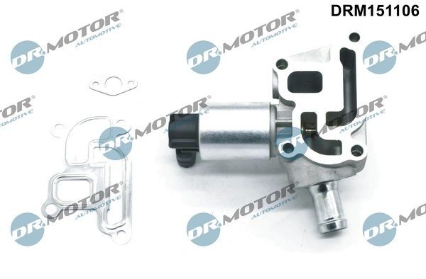 DR.MOTOR AUTOMOTIVE EGR valve DRM151106