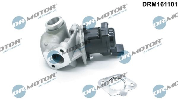 DR.MOTOR AUTOMOTIVE DRM161101 EGR valve 1618 NR