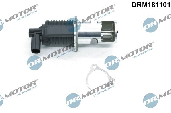 DR.MOTOR AUTOMOTIVE EGR valve DRM181101 Dacia LOGAN 2005